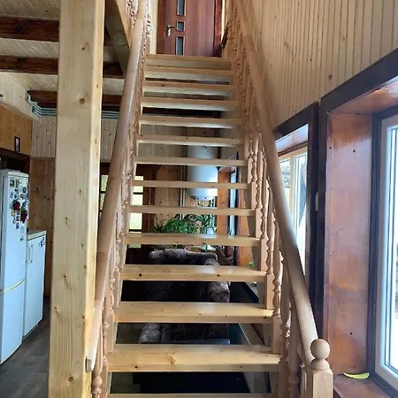 подина * Vorokhta