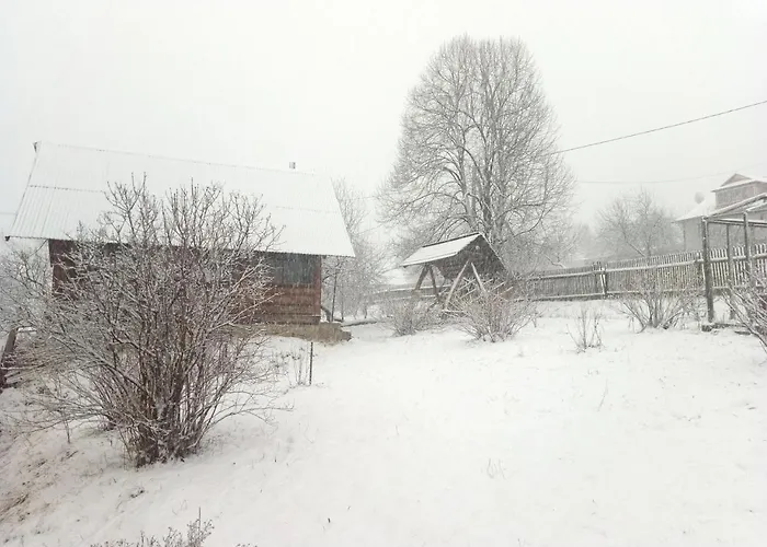 подина